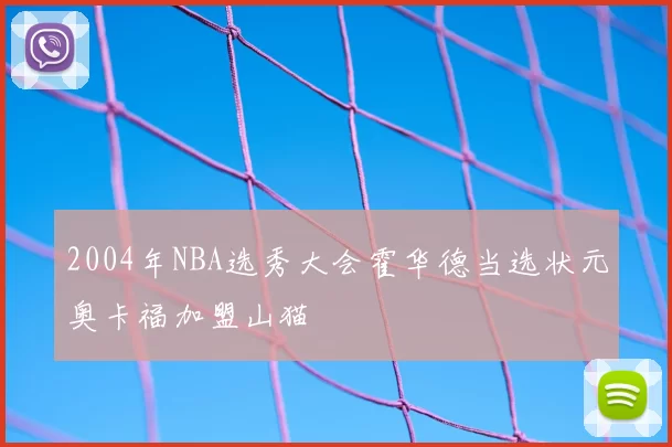 2004年NBA选秀大会霍华德当选状元奥卡福加盟山猫