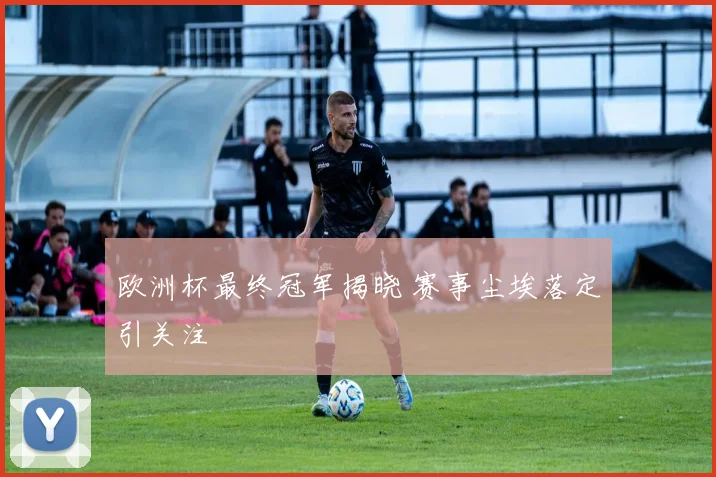 欧洲杯最终冠军揭晓 赛事尘埃落定引关注