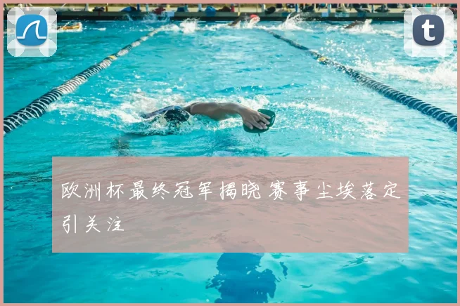 欧洲杯最终冠军揭晓 赛事尘埃落定引关注