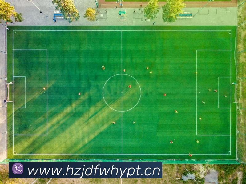 2018世界杯官网平台生态图